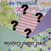 12x12 Mystery Pack of Paper and Cardstock